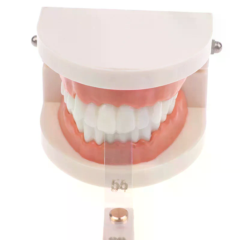 /ACR/Dental Interproximal Redu - đánh giá và giá Ruler Set Transparent